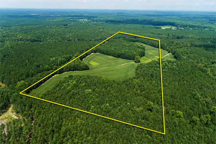 Gorgeous 60.64 acres in northern Gloucester County