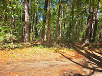 Potential for a Great Homesite