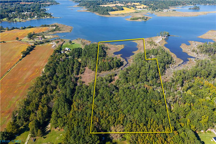 Duck Hunter's Paradise